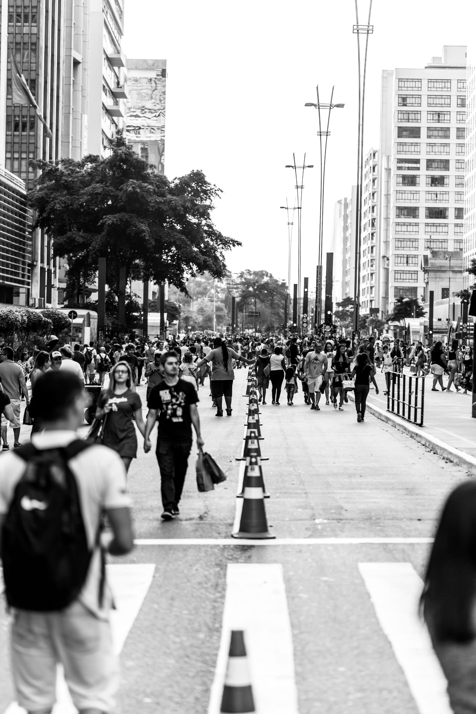 pexels-guilman-2204305-5939399